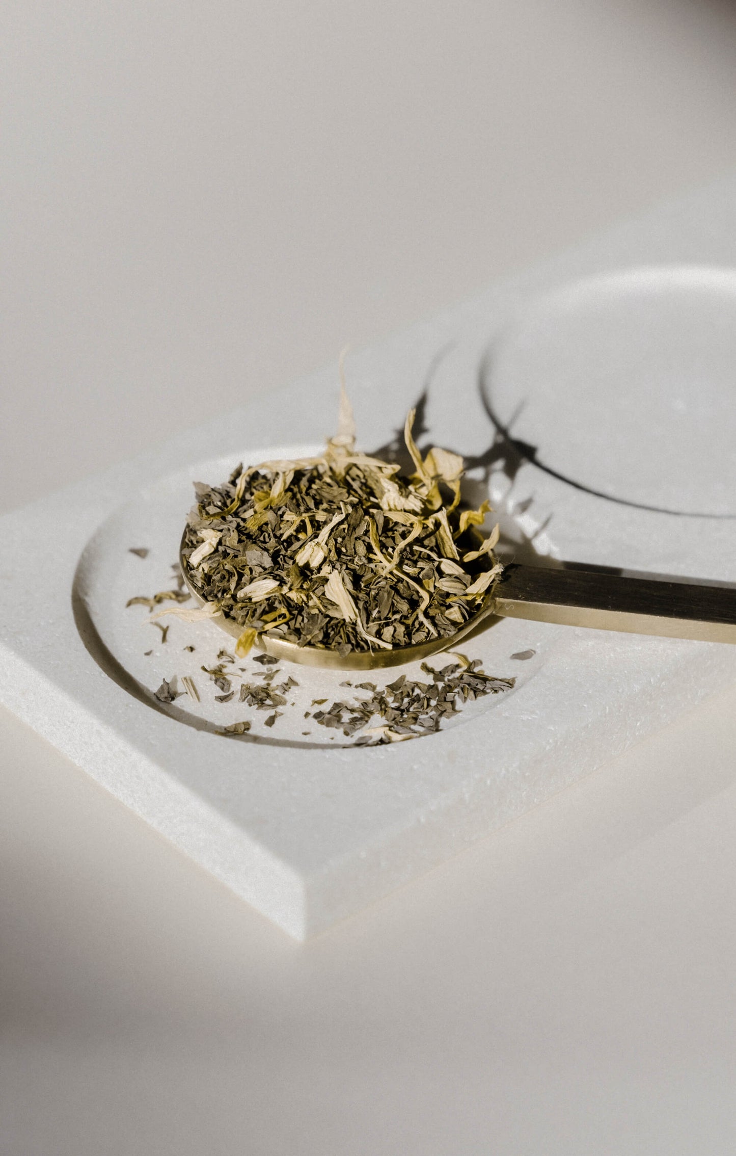 DIGEST LOOSE LEAF TEA - 15 SERVE JAR